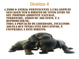 Direitos 4
4.Todo o animal pertencente a uma espécie
selvagem tem o direito de viver livre no
seu próprio ambiente natural,
terrestre, aéreo ou aquático, e a
reproduzir-se.
Toda a privação de liberdade, incluindo
aquela que tenha fins educativos, é
contrária a este direito.

 