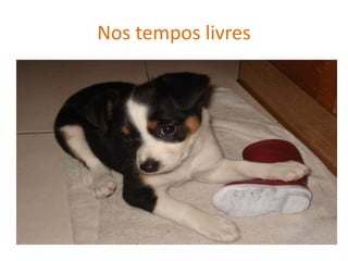 Nos tempos livres

 
