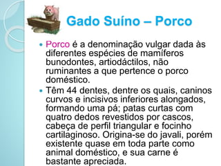 Gado Suíno – Porco
 Porco é a denominação vulgar dada às
diferentes espécies de mamíferos
bunodontes, artiodáctilos, não
ruminantes a que pertence o porco
doméstico.
 Têm 44 dentes, dentre os quais, caninos
curvos e incisivos inferiores alongados,
formando uma pá; patas curtas com
quatro dedos revestidos por cascos,
cabeça de perfil triangular e focinho
cartilaginoso. Origina-se do javali, porém
existente quase em toda parte como
animal doméstico, e sua carne é
bastante apreciada.
 