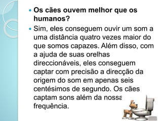  Os cães ouvem melhor que os
humanos?
 Sim, eles conseguem ouvir um som a
uma distância quatro vezes maior do
que somos capazes. Além disso, com
a ajuda de suas orelhas
direccionáveis, eles conseguem
captar com precisão a direcção da
origem do som em apenas seis
centésimos de segundo. Os cães
captam sons além da nossa
frequência.
 