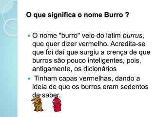 O que significa o nome Burro ?
 O nome "burro" veio do latim burrus,
que quer dizer vermelho. Acredita-se
que foi daí que surgiu a crença de que
burros são pouco inteligentes, pois,
antigamente, os dicionários
 Tinham capas vermelhas, dando a
ideia de que os burros eram sedentos
de saber.
 
