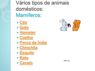 Vários tipos de animais
domésticos:
Mamíferos:
 Cão
 Gato
 Hamster
 Coelho
 Porco da Índia
 Chinchila
 Esquilo
 Rato
 Cavalo
 
