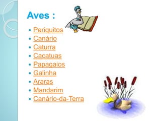 Aves :
 Periquitos
 Canário
 Caturra
 Cacatuas
 Papagaios
 Galinha
 Araras
 Mandarim
 Canário-da-Terra
 