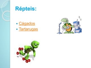 Répteis:
 Cágados
 Tartarugas
 