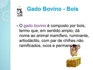 Gado Bovino - Bois
 O gado bovino é composto por bois,
termo que, em sentido amplo, dá
nome ao animal mamífero, ruminante,
artiodáctilo, com par de chifres não
ramificados, ocos e permanentes.
 