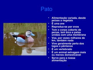 17
Pato
• Alimentação variada, desde
peixes a vegetais
• É uma ave
• Reproduz-se por ovos
• Tem o corpo coberto de
penas, tem bico e patas
unidas com uma membrana
• Voa, por vezes milhares de
km, também nada
• Vive geralmente perto dos
lagos e pântanos
• É um vertebrado
• É um animal selvagem mais
ou menos domesticável
• Serve para a nossa
alimentação
 