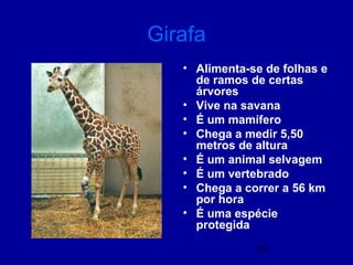 18
Girafa
• Alimenta-se de folhas e
de ramos de certas
árvores
• Vive na savana
• É um mamífero
• Chega a medir 5,50
metros de altura
• É um animal selvagem
• É um vertebrado
• Chega a correr a 56 km
por hora
• É uma espécie
protegida
 