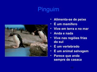 19
Pinguim
• Alimenta-se de peixe
• É um mamífero
• Vive em terra e no mar
• Anda e nada
• Vive nas regiões frias
do sul
• É um vertebrado
• É um animal selvagem
• Parece que anda
sempre de casaca
 
