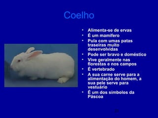 21
Coelho
• Alimenta-se de ervas
• É um mamífero
• Pula com umas patas
traseiras muito
desenvolvidas
• Pode ser bravo e doméstico
• Vive geralmente nas
florestas e nos campos
• É vertebrado
• A sua carne serve para a
alimentação do homem, a
sua pele serve para
vestuário
• É um dos símbolos da
Páscoa
 