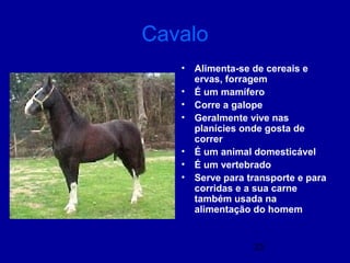 23
Cavalo
• Alimenta-se de cereais e
ervas, forragem
• É um mamífero
• Corre a galope
• Geralmente vive nas
planícies onde gosta de
correr
• É um animal domesticável
• É um vertebrado
• Serve para transporte e para
corridas e a sua carne
também usada na
alimentação do homem
 