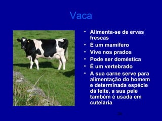 24
Vaca
• Alimenta-se de ervas
frescas
• É um mamífero
• Vive nos prados
• Pode ser doméstica
• É um vertebrado
• A sua carne serve para
alimentação do homem
e determinada espécie
dá leite, a sua pele
também é usada em
cutelaria
 