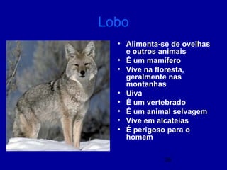 26
Lobo
• Alimenta-se de ovelhas
e outros animais
• É um mamífero
• Vive na floresta,
geralmente nas
montanhas
• Uiva
• É um vertebrado
• É um animal selvagem
• Vive em alcateias
• É perigoso para o
homem
 