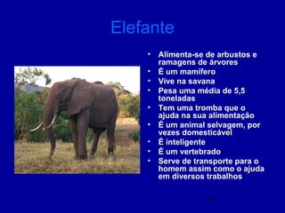 27
Elefante
• Alimenta-se de arbustos e
ramagens de árvores
• É um mamífero
• Vive na savana
• Pesa uma média de 5,5
toneladas
• Tem uma tromba que o
ajuda na sua alimentação
• É um animal selvagem, por
vezes domesticável
• É inteligente
• É um vertebrado
• Serve de transporte para o
homem assim como o ajuda
em diversos trabalhos
 