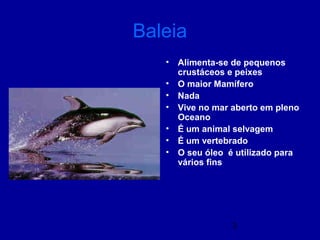 3
Baleia
• Alimenta-se de pequenos
crustáceos e peixes
• O maior Mamífero
• Nada
• Vive no mar aberto em pleno
Oceano
• É um animal selvagem
• É um vertebrado
• O seu óleo é utilizado para
vários fins
 