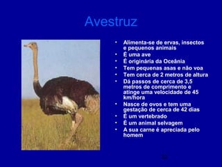 32
Avestruz
• Alimenta-se de ervas, insectos
e pequenos animais
• É uma ave
• É originária da Oceânia
• Tem pequenas asas e não voa
• Tem cerca de 2 metros de altura
• Dá passos de cerca de 3,5
metros de comprimento e
atinge uma velocidade de 45
km/hora
• Nasce de ovos e tem uma
gestação de cerca de 42 dias
• É um vertebrado
• É um animal selvagem
• A sua carne é apreciada pelo
homem
 