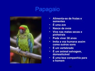 36
Papagaio
• Alimenta-se de frutas e
sementes
• É uma ave
• Nasce de ovos
• Vive nas matas secas e
pinheirais
• Pode viver 30 anos
• Imita a voz humana assim
como outros sons
• É um vertebrado
• É um animal selvagem,
domesticável
• É uma boa companhia para
o homem
 