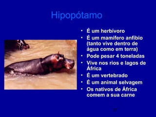 37
Hipopótamo
• É um herbívoro
• É um mamífero anfíbio
(tanto vive dentro de
água como em terra)
• Pode pesar 4 toneladas
• Vive nos rios e lagos de
África
• É um vertebrado
• É um animal selvagem
• Os nativos de África
comem a sua carne
 