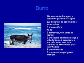 4
Burro
• Alimenta-se de forragem e
pequenos grãos mas a água
que bebe tem de ser límpida e
sem cheiros.
• É um mamífero
• Anda
• É doméstico, vive perto do
homem
• É um óptimo animal de carga, o
leite da fêmea é apreciado, a
sua pele serve para fazer
correias, os seus ossos para
fazer flautas
• É um vertebrado
• É um animal em perigo de
extinção
 