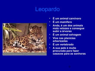 5
Leopardo
• É um animal carnívoro
• É um mamífero
• Anda, é um dos animais
mais velozes e consegue
subir a árvores
• É um animal selvagem
• Vive nas planícies
arborizadas
• É um vertebrado
• A sua pele é muito
procurada para fazer
casacos para as senhoras
 