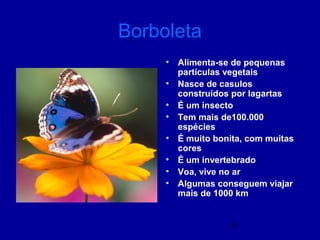 6
Borboleta
• Alimenta-se de pequenas
partículas vegetais
• Nasce de casulos
construídos por lagartas
• É um insecto
• Tem mais de100.000
espécies
• É muito bonita, com muitas
cores
• É um invertebrado
• Voa, vive no ar
• Algumas conseguem viajar
mais de 1000 km
 