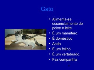8
Gato
• Alimenta-se
essencialmente de
peixe e leite
• É um mamífero
• É doméstico
• Anda
• É um felino
• É um vertebrado
• Faz companhia
 