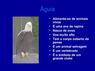9
Águia
• Alimenta-se de animais
vivos
• É uma ave de rapina
• Nasce de ovos
• Voa muito alto
• Tem o corpo coberto de
penas
• É um animal selvagem
• É um vertebrado
• É o símbolo de um
grande clube
 
