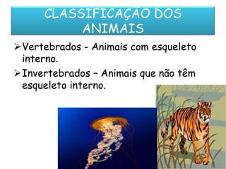 CLASSIFICAÇÃO DOS
           ANIMAIS
Vertebrados - Animais com esqueleto
 interno.
Invertebrados – Animais que não têm
 esqueleto interno.
 
