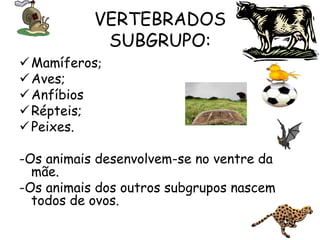VERTEBRADOS
            SUBGRUPO:
 Mamíferos;
 Aves;
 Anfíbios
 Répteis;
 Peixes.

-Os animais desenvolvem-se no ventre da
  mãe.
-Os animais dos outros subgrupos nascem
  todos de ovos.
 