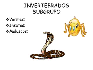 INVERTEBRADOS
          SUBGRUPO
Vermes;
Insetos;
Moluscos;
 