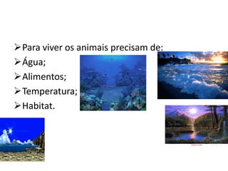 Para viver os animais precisam de:
Água;
Alimentos;
Temperatura;
Habitat.
 