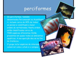 perciformes  Os perciformes, também denominados Percomorphi ou Acanthopteri, incluem cerca de 40% de todos os peixes e constituem a maior ordem de vertebrados. Nesta ordem estão classificados cerca de 7000 espécies diferentes. Estão presentes em quase todos os ambientes aquáticos. A sua aparição deu-se no fim do Cretácico. O grupo inclui espécies de interesse comercial como o atum e o carapau. 