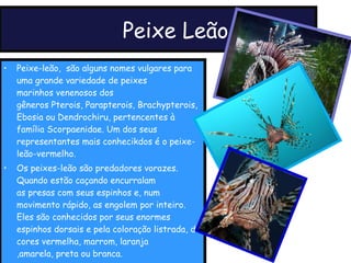 Peixe Leão Peixe-leão,  são alguns nomes vulgares para uma grande variedade de peixes marinhos venenosos dos gêneros Pterois, Parapterois, Brachypterois, Ebosia ou Dendrochiru, pertencentes à família Scorpaenidae. Um dos seus representantes mais conhecikdos é o peixe-leão-vermelho. Os peixes-leão são predadores vorazes. Quando estão caçando encurralam as presas com seus espinhos e, num movimento rápido, as engolem por inteiro. Eles são conhecidos por seus enormes espinhos dorsais e pela coloração listrada, de cores vermelha, marrom, laranja ,amarela, preta ou branca. 
