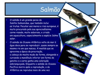 Salmão O salmão é um grande peixe da família Salmonidae, que também inclui as trutas. Peculiar aos mares e rios europeus, é muito procurado pela sua apreciadíssima carne rosada, muito saborosa, e criado em aquacultura, especialmente a espécie Salmo salar. O salmão do Oceano Atlântico volta do mar à água doce para se reproduzir, quase sempre ao mesmo rio em que nasceu. À medida que se aproxima a época da procriação, a cabeça do macho muda de forma, alongando e curvando a mandíbula inferior em forma de gancho e a carne ganha uma coloração esbranquiçada. Enquanto o salmão do Oceano Pacífico morre após a reprodução, o do Atlântico se reproduz mais de uma vez 