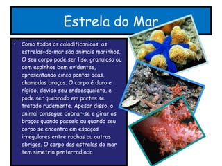 Estrela do Mar Como todos os caladificanicos, as estrelas–do–mar são animais marinhos. O seu corpo pode ser liso, granuloso ou com espinhos bem evidentes, apresentando cinco pontas ocas, chamadas braços. O corpo é duro e rígido, devido seu endoesqueleto, e pode ser quebrado em partes se tratado rudemente. Apesar disso, o animal consegue dobrar-se e girar os braços quando passeia ou quando seu corpo se encontra em espaços irregulares entre rochas ou outros abrigos. O corpo das estrelas do mar tem simetria pentarradiada 