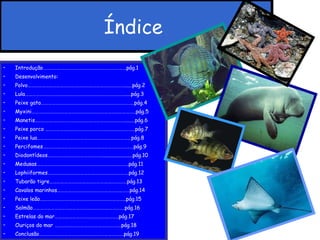 Índice   Introdução……………………………………………………………pág.1 Desenvolvimento: Polvo……………………………………………………………………….....pág.2 Lula………………………………………………………………………......pág.3 Peixe gato…………………………………………………………………..pág.4 Myxini…………………………………………………………………………..pág.5 Manetis………………………………………………………………….......pág.6 Peixe porco ………………………………………………………………..pág.7 Peixe lua……………………………………………………………………pág.8 Percifomes…………………………………………………………………pág.9 Diodontídeos……………………………………….......................pág.10 Medusas………………………………………………………………….pág.11 Lophiiformes………………………………………………………….pág.12 Tubarão tigre……………………………………………………….pág.13 Cavalos marinhos……………………………………………………pág.14 Peixe leão……………………………………………………………..pág.15 Salmão………………………………………………………………….pág.16 Estrelas do mar……………………………………………..pág.17 Ouriços do mar ……………………………………………….pág.18 Conclusão…………………………………………………………….pág.19 Bibliografia………………………………………………………………pág.20 