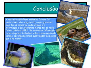 Conclusão A nossa opinião deste trabalho foi que foi muito divertido e engraçado, o que gostamos mais foi os nomes de cada animais e a informação e que gostamos menos foi de nada foi um coisinha difícil  de encontrar informação todos do grupo trabalhou valeu a pena realizado porque  aprendemos mais quantidades de peixes que a no mundo. 