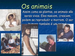 Os animais Assim como as plantas, os animais são seres vivos. Eles nascem, crescem, podem se reproduzir e morrem. O ser humano também é um animal. 