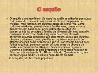O golfinhoOs golfinhos ou são animais cetáceos. São perfeitamente adaptados para viver no ambiente aquático, sendo que existem 37 espécies conhecidas de golfinhos dentre os de água salgada e água doce. São nadadores privilegiados, às vezes, saltam até cinco metros acima da água, podem nadar a uma velocidade de até 40 km/h e mergulhar a grandes profundidades. Sua alimentação consiste basicamente de peixes e lulas. Podem viver de 25 a 30 anos e dão à luz um filhote de cada vez. Vivem em grupos, são animais sociáveis, tanto entre eles, como com outros animais e humanos.O golfinhoSão extremamente brincalhões, pois nenhum animal, excepto o homem, tem uma variedade tão grande de comportamentos que não estejam directamente ligados às actividades biológicas básicas, como alimentação e reprodução.O golfinho