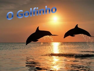 Os animais da vida selvagem