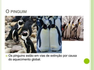 O PINGUIM




   Os pinguins estão em vias de extinção por causa
    do aquecimento global.
 