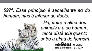 597ª. Esse princípio é semelhante ao do
homem, mas é inferior ao deste.
Allan Kardec - O LIVRO
DOS ESPÍRITOS – Q . 597A
Há, entre a alma dos
animais e a do homem,
tanta distância quanto
entre a alma do homem
e Deus.
 
