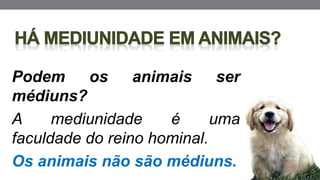 Podem os animais ser
médiuns?
A mediunidade é uma
faculdade do reino hominal.
Os animais não são médiuns.
 
