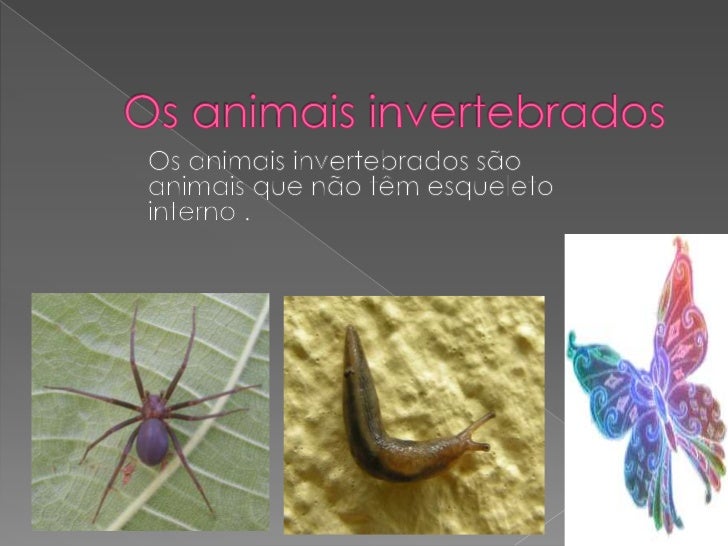 Quais São Os Invertebrados Que Vivem Em Meio Aquático? – ICXLO