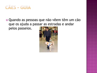 Cães – guia Quando as pessoas que não vêem têm um cão que os ajuda a passar as estradas e andar pelos passeios.