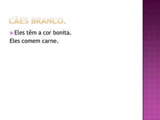 Cães branco.Eles têm a cor bonita.Eles comem carne.