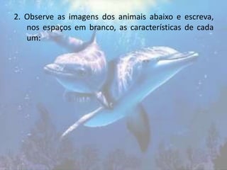 2. Observe as imagens dos animais abaixo e escreva,
nos espaços em branco, as características de cada
um:
