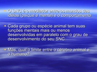 O SNC é o mediador entre os mundos das idéias (psique e mente) e o comportamento Cada grupo ou espécie animal tem suas funções mentais mais ou menos desenvolvidas em paralelo com o grau de desenvolvimento do seu SNC Mas, qual o limite entre o cérebro animal e o humano? 