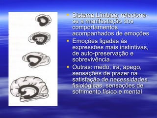 Sistema Límbico : relaciona-se a manifestação dos comportamentos acompanhados de emoções Emoções ligadas às expressões mais instintivas, de auto-preservação e sobrevivência Outras: medo, ira, apego, sensações de prazer na satisfação de necessidades fisiológicas, sensações de sofrimento físico e mental 
