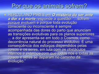 Por que os animais sofrem? HERCULANO PIRES em  O mistério do ser ante a dor e a morte  responde a questão: “...sofrem porque evoluem e porque toda evolução consciente ou inconsciente é sempre acompanhada das dores do parto que anunciam as transições evolutivas para os planos superiores ... a dor apresenta-se em todo o Cosmos, como decorrência natural do processo evolutivo. É uma conseqüência dos esforços dispendidos pelas coisas e os seres, em luta com os obstáculos internos e externos com que todos nós e todas as coisas e seres se deparam no caminho da evolução.” 
