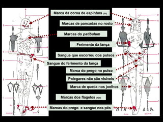 Marca da coroa de espinhos (50)
Marcas de pancadas no rosto
Marcas do patibulum
Ferimento da lança
Sangue que escorreu dos pulsos
Sangue do ferimento da lança
Marca do prego no pulso
Polegares não são visíveis
Marca de queda nos joelhos
Marcas dos flagelos (120)
Marcas do prego e sangue nos pés

 